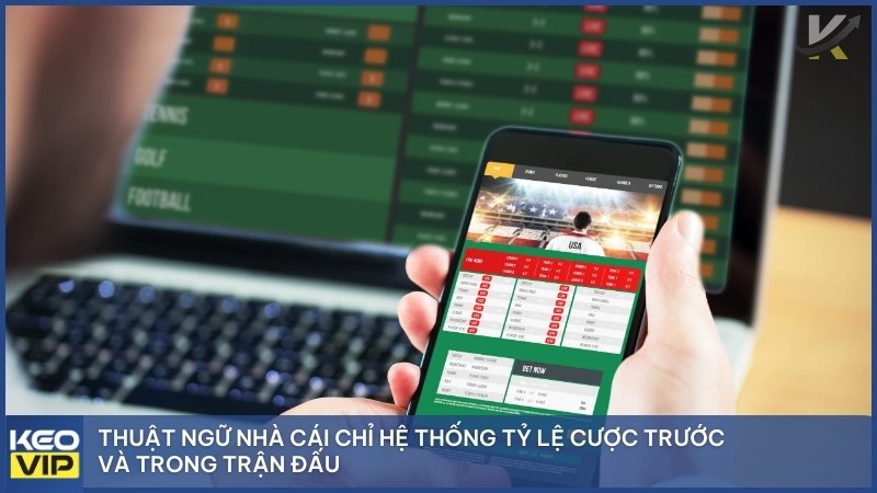 thuat ngu nha cai - Kèo Bóng Đá Nhà Cái – Bí Quyết Soi Kèo Nhà Cái 5 Lịch Thi Đấu Chuẩn Xác Tại RGBET