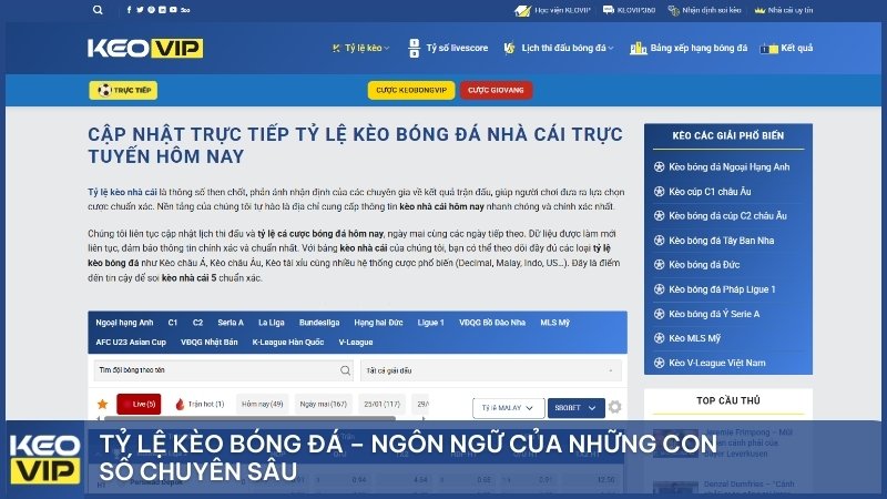 Tỷ lệ kèo bóng đá – Ngôn ngữ số liệu chuyên sâu
